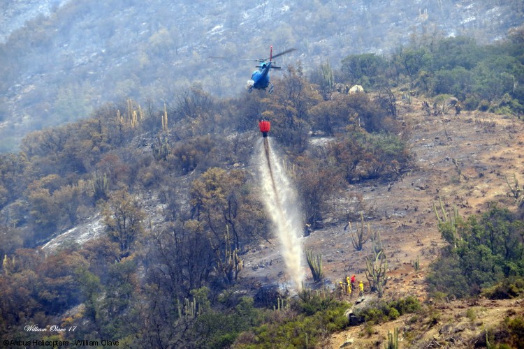 Wildfires in Chile: two pilots report on the blaze